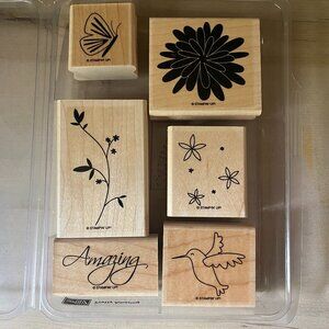 Stampin Up Pretty Amazing 6 rubber stamps birds flower butterfly whimsical